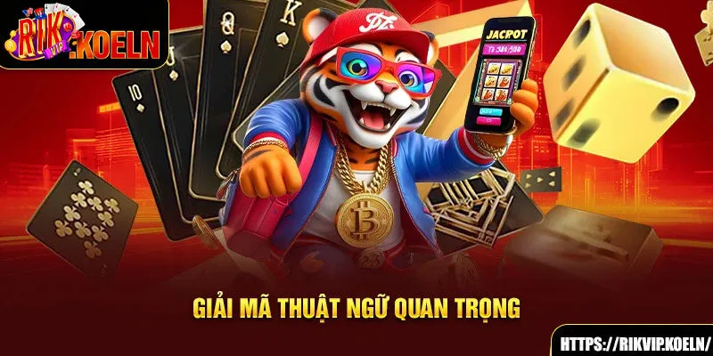 Giải mã thuật ngữ quan trọng